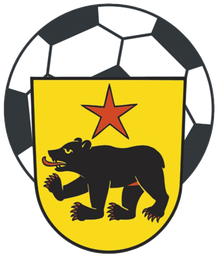 FC Altstaetten team logo