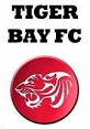 Tiger Bay team logo