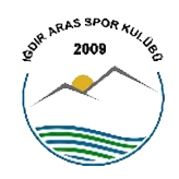 Igdir Arasspor team logo