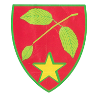 Mostistea Ulmu team logo