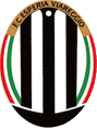 Viareggio team logo