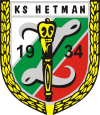 Hetman Zamosc team logo