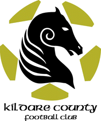 Kildare County team logo