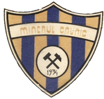 Minerul team logo