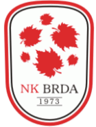 Brda team logo