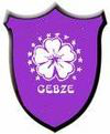 Gebzespor team logo