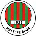 Maltepespor team logo