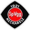 SpVgg Neckarelz team logo