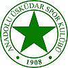 Anadolu Uskudar 1908 team logo