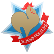 Shanghai Shenxin FC team logo