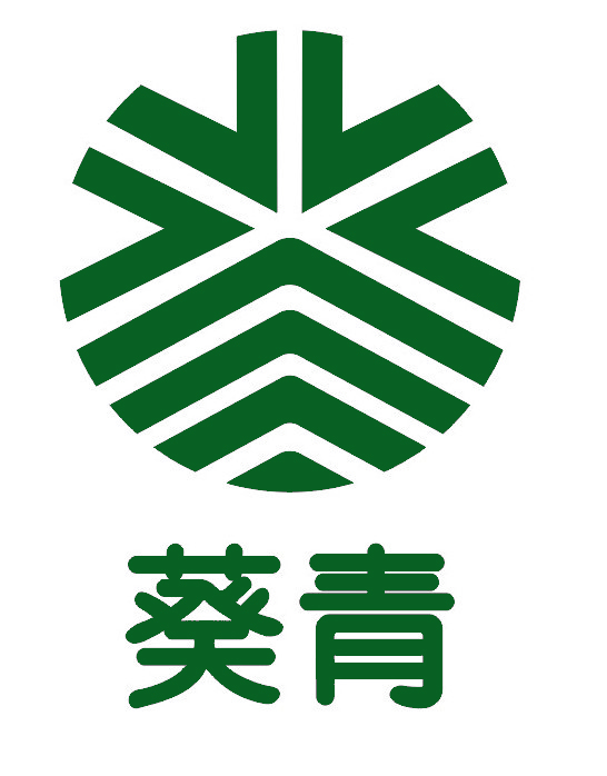 Kwai Tsing team logo