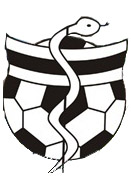 Medyk Konin (w) team logo