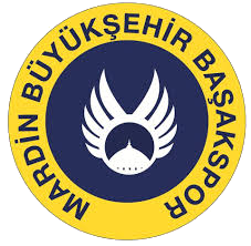 Mardin Basakspor team logo