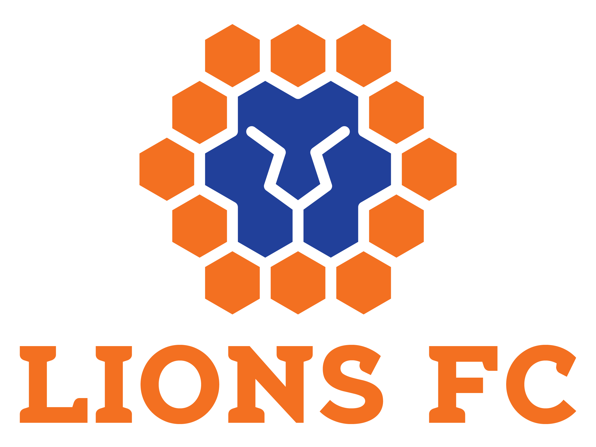 Queensland Lions (u20) team logo