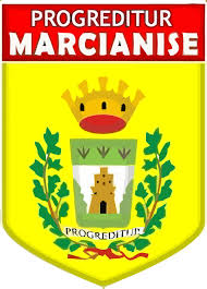 Real Marcianise team logo