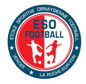 La Roche S.Y. team logo